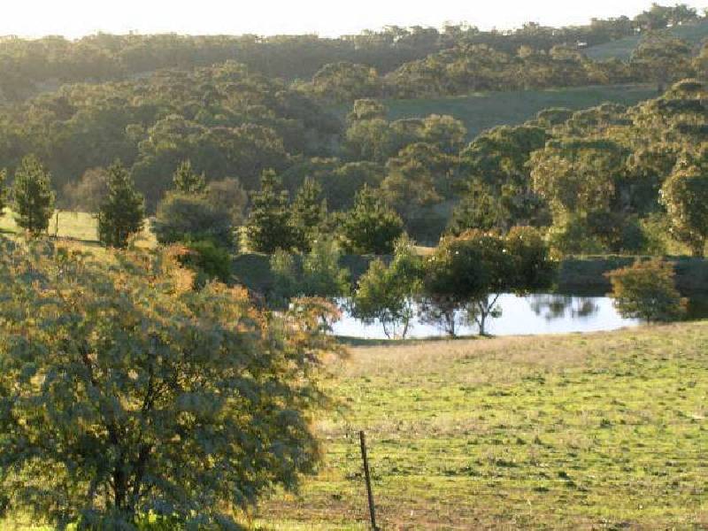 Lot 3 Pipeline Road, Angaston SA 5353