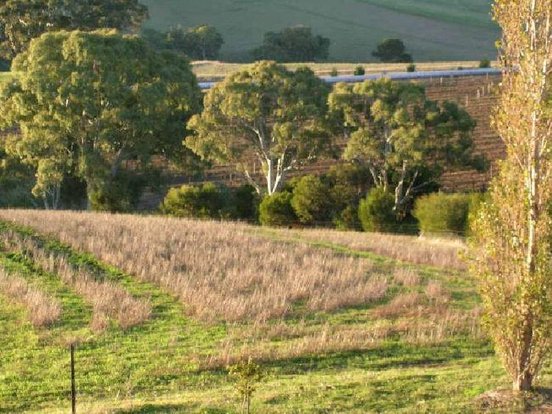 Lot 3 Pipeline Road, Angaston SA 5353