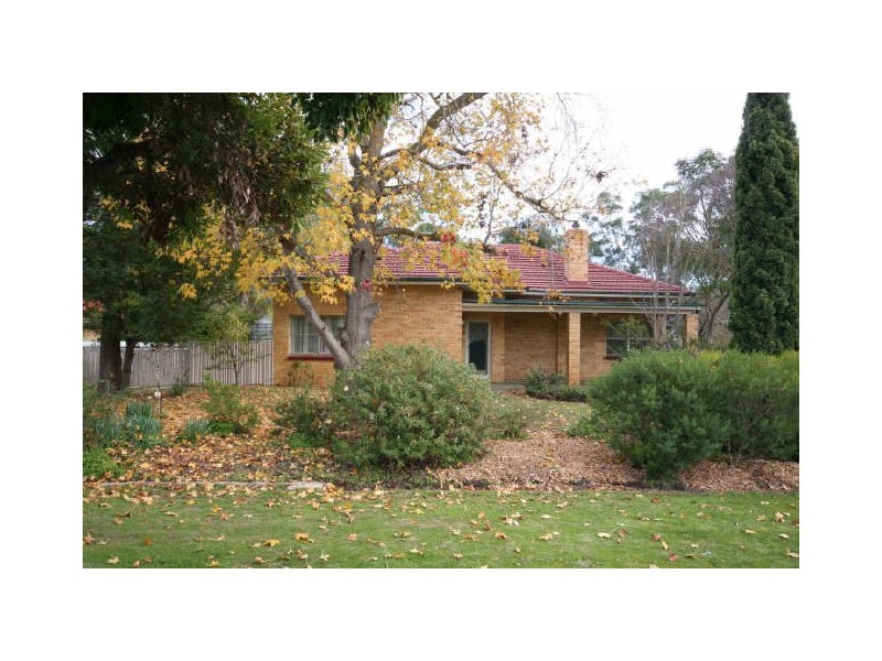 4 Buna Terrace, Nuriootpa SA 5355