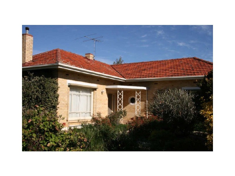 25 Old Kapunda Road, Nuriootpa SA 5355