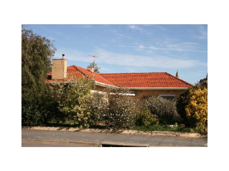 25 Old Kapunda Road, Nuriootpa SA 5355