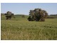 Sect 4 Eudunda Road, Dutton SA 5356