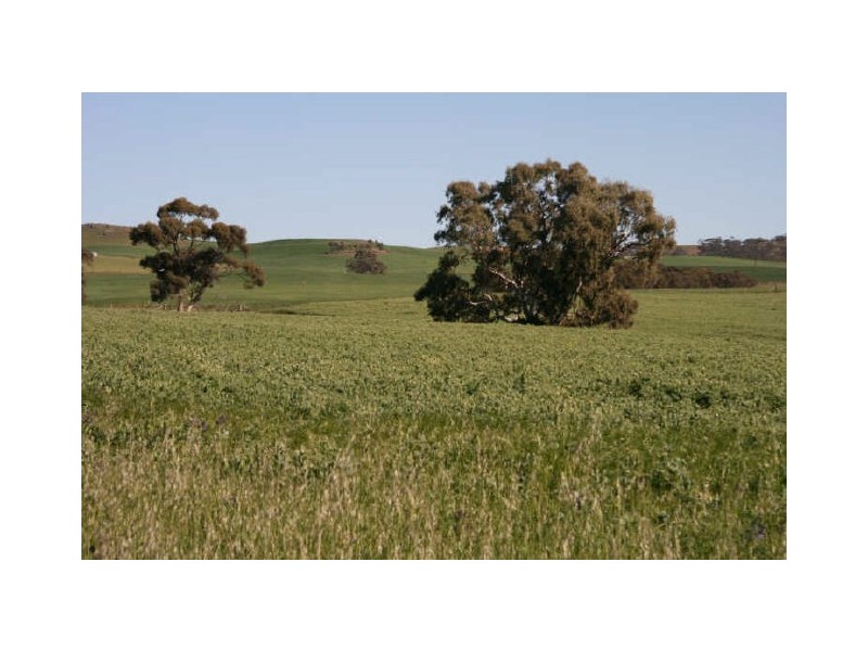 Sect 4 Eudunda Road, Dutton SA 5356