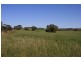 Sect 5 Burts Road, Dutton SA 5356