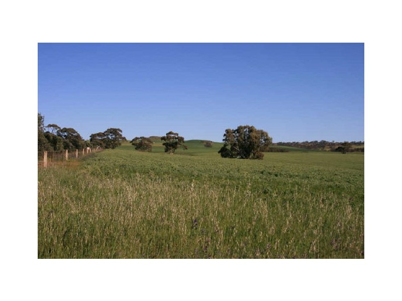 Sect 5 Burts Road, Dutton SA 5356