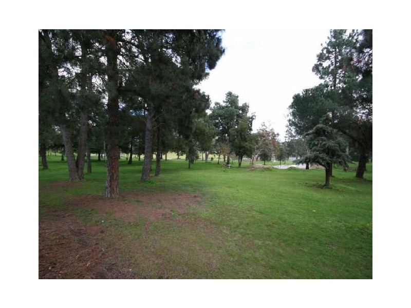 35 Gramp Avenue, Angaston SA 5353