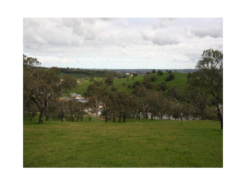 62 Penrice Road, Angaston SA 5353