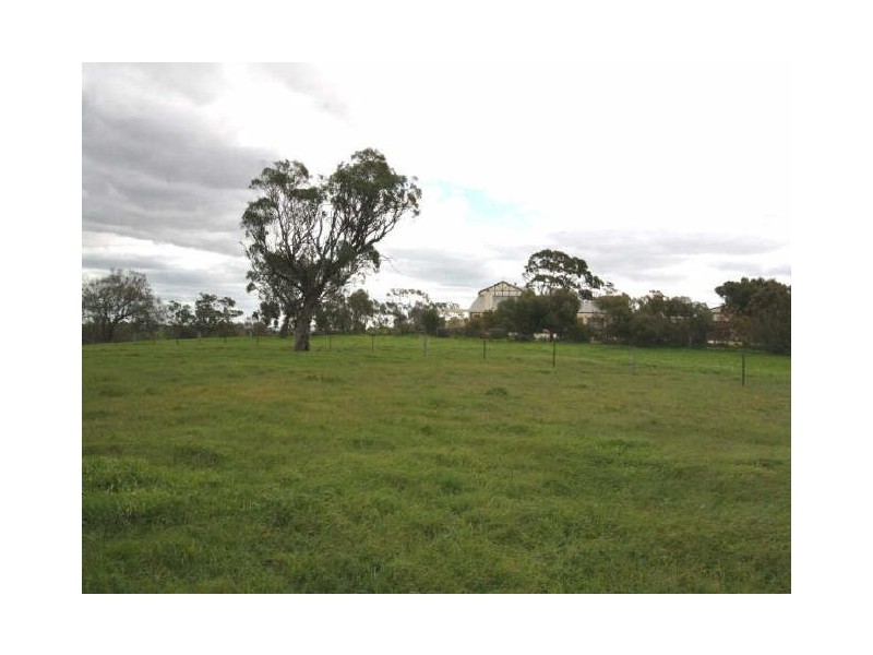 62 Penrice Road, Angaston SA 5353