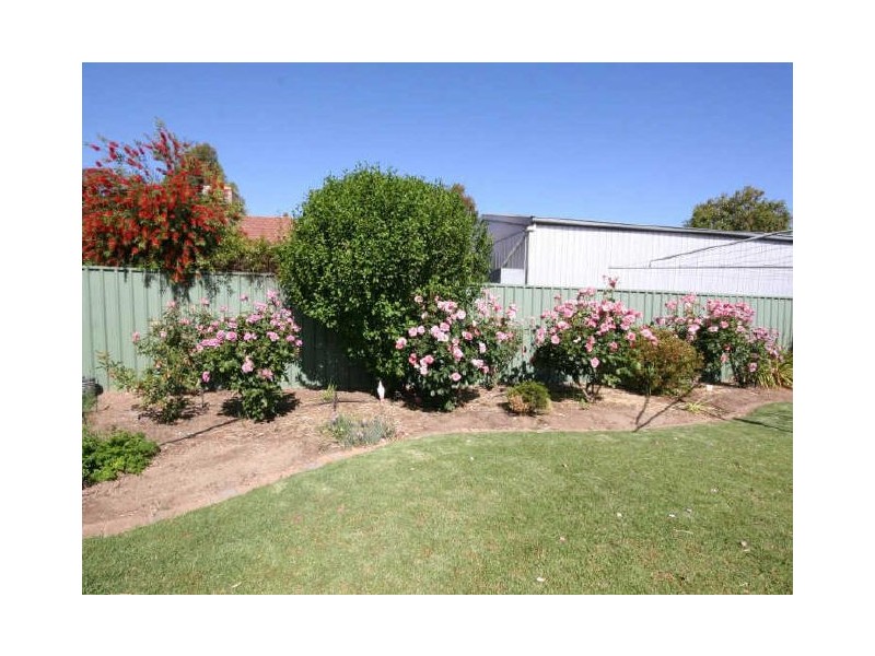 1 Helene Street, Nuriootpa SA 5355