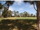 Lot 23 Buna Terrace, Nuriootpa SA 5355