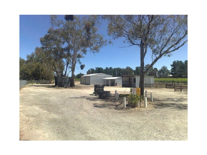 Lot 3 Tolley Road, Nuriootpa SA 5355