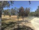 Lot 3 Tolley Road, Nuriootpa SA 5355