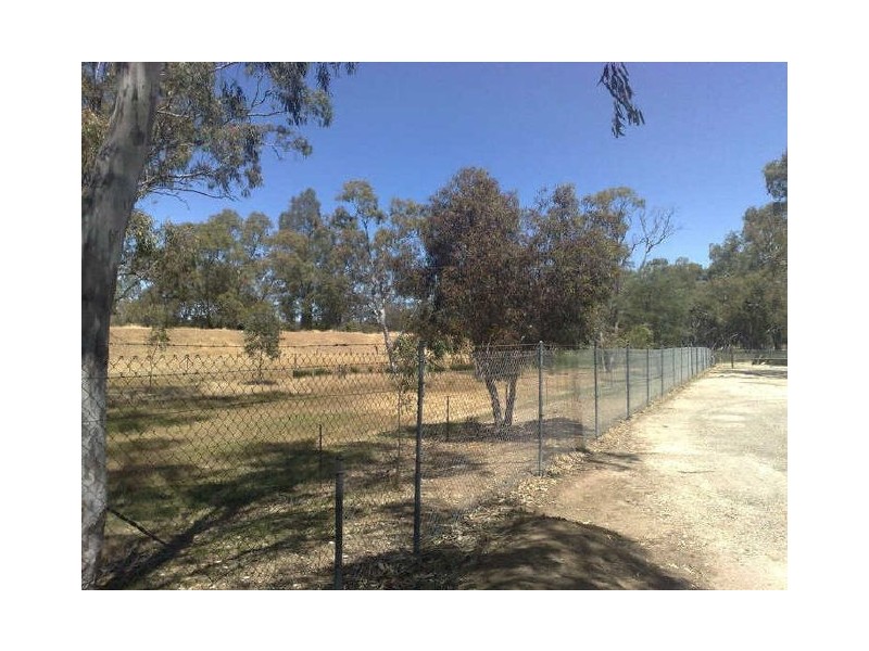 Lot 3 Tolley Road, Nuriootpa SA 5355