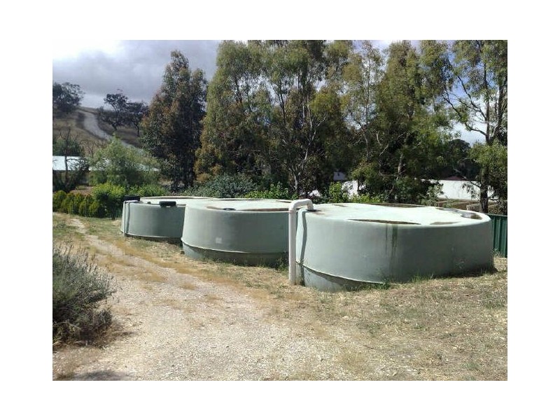 47 Penrice Road, Angaston SA 5353