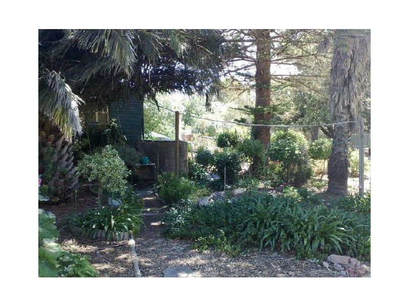 1D Murray Street, Tanunda SA 5352