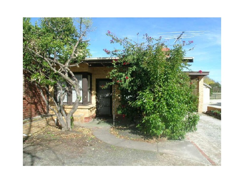 19 Gawler Street, Nuriootpa SA 5355