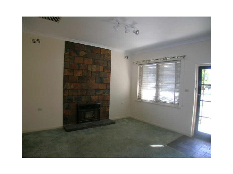 19 Gawler Street, Nuriootpa SA 5355