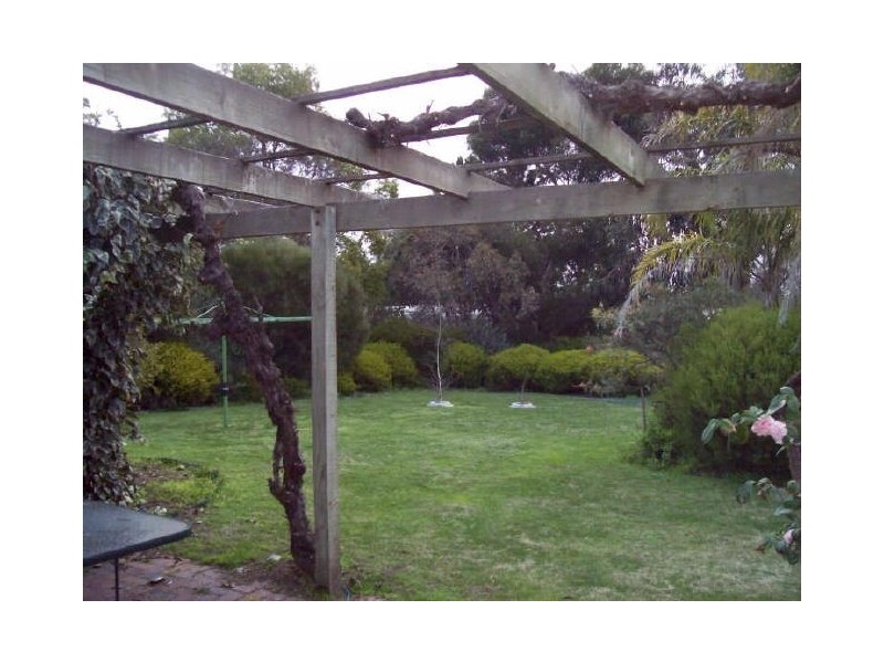 11 Krieg Street, Nuriootpa SA 5355