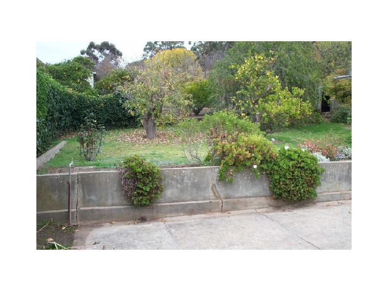 25 Evans Street, Angaston SA 5353