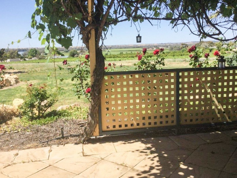 88 Mills Road, Berri SA 5343