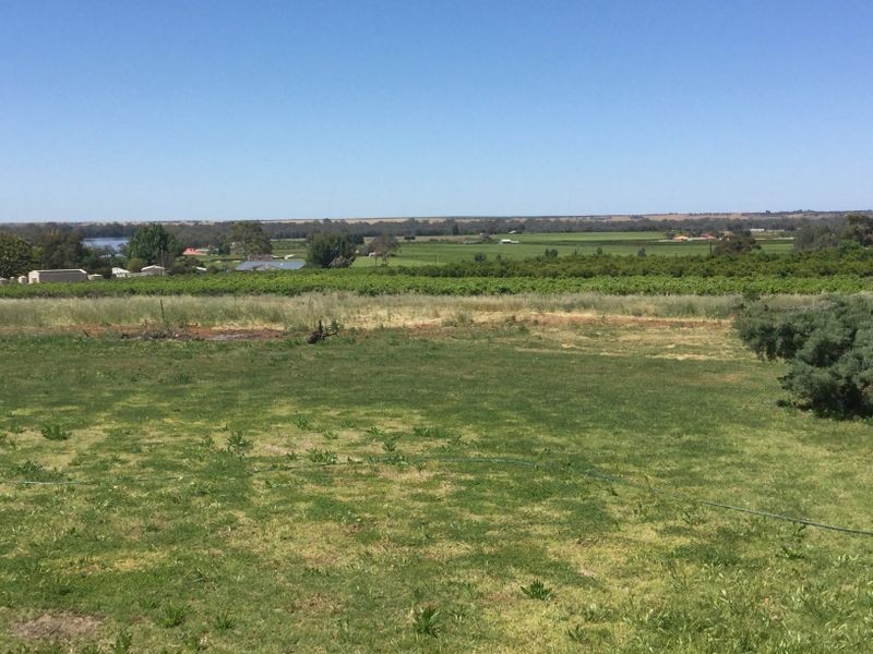 88 Mills Road, Berri SA 5343