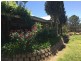88 Mills Road, Berri SA 5343