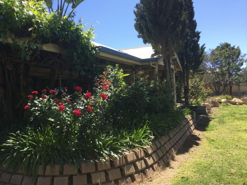 88 Mills Road, Berri SA 5343