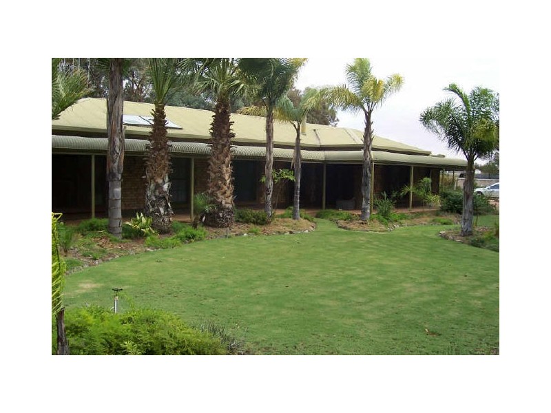 Section 226, Evans Road, Barmera SA 5345