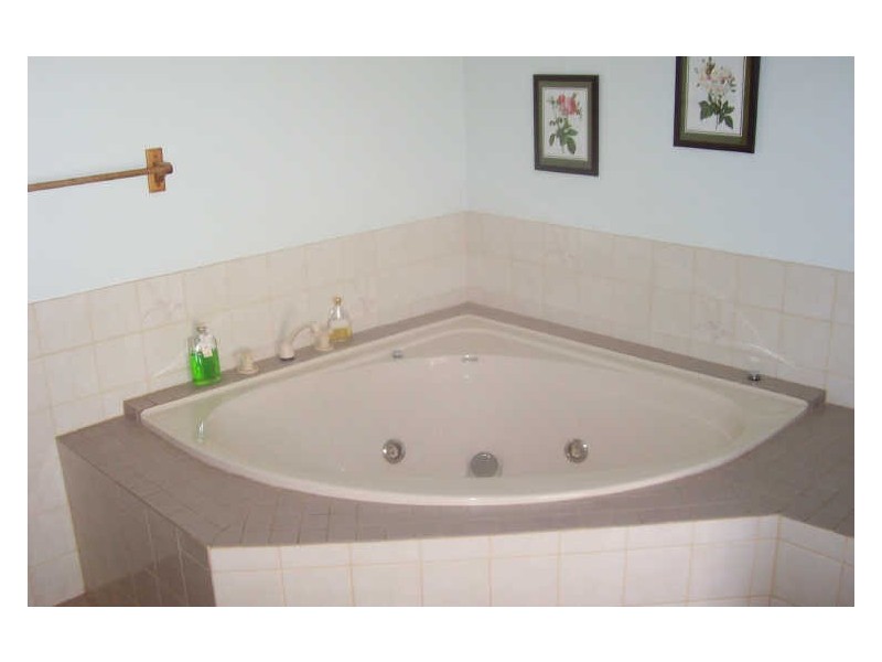 Sect 446 Gaskell Road, Barmera SA 5345