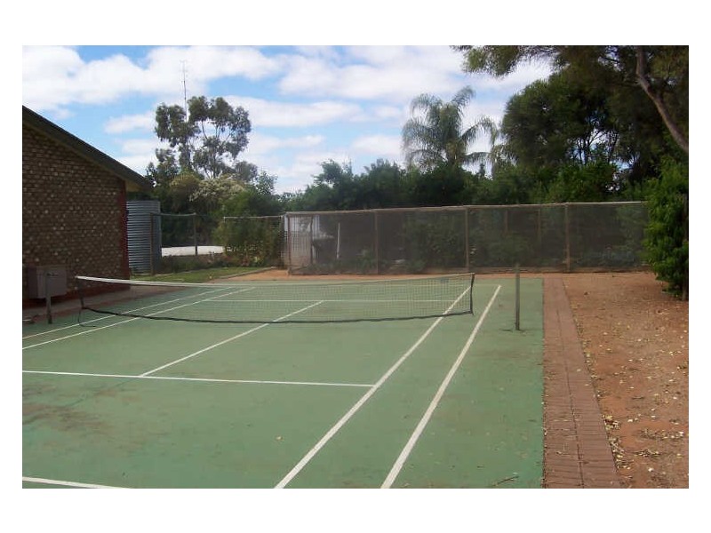 Sect 446 Gaskell Road, Barmera SA 5345