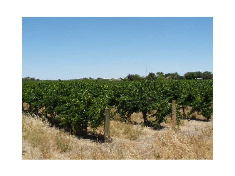 Tooravale Road, Berri SA 5343