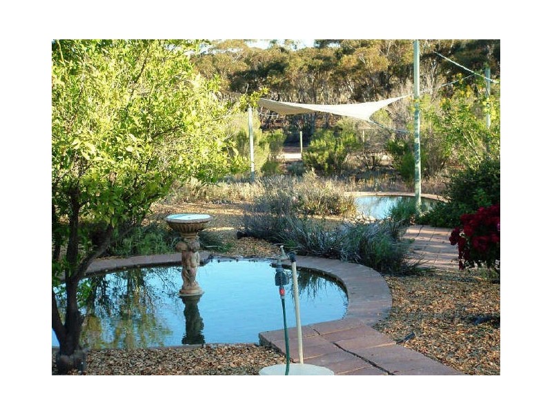 Crossing Road, Berri SA 5343