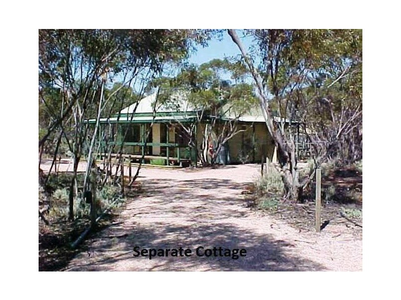 Crossing Road, Berri SA 5343