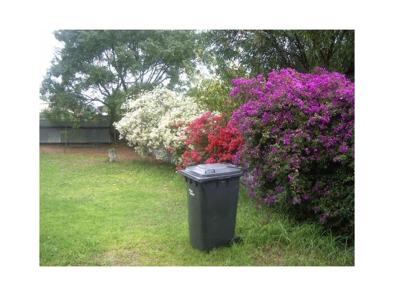 13 Clark Street, Berri SA 5343