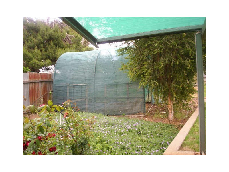 3 O’Hanez Street, Berri SA 5343