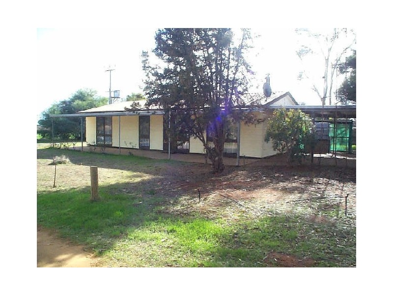 Section 881, Bassham Road, Barmera SA 5345