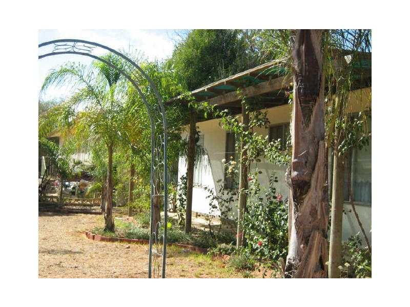 6 Baynes Street, Barmera SA 5345