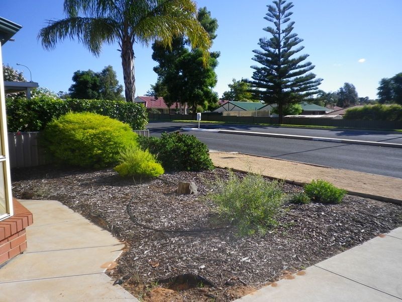 91b Kay Avenue, Berri SA 5343
