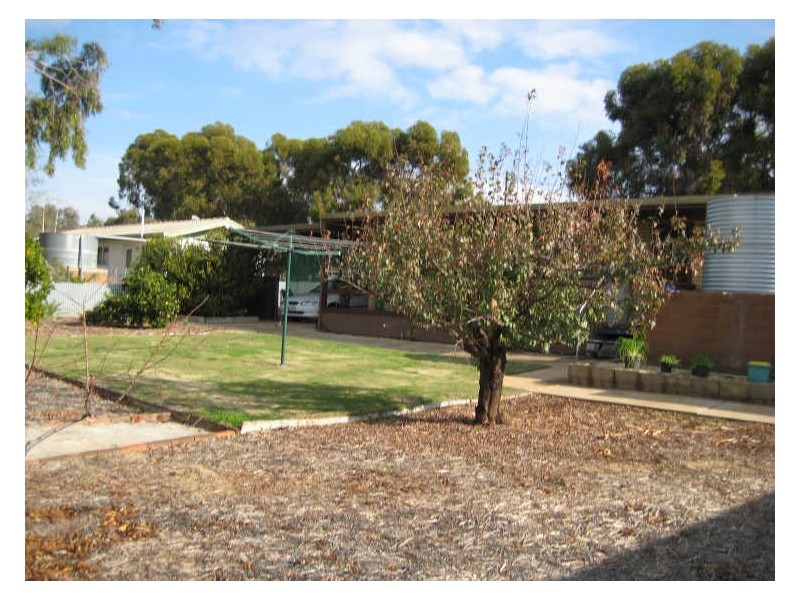 14 Loader Street, Berri SA 5343