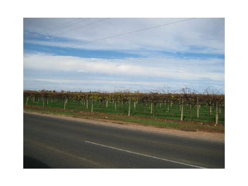 Section 381, McGillivray Road, Glossop SA 5344