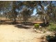 Lot 12 Section 65, Heinrick Road, Yinkanie SA 5332