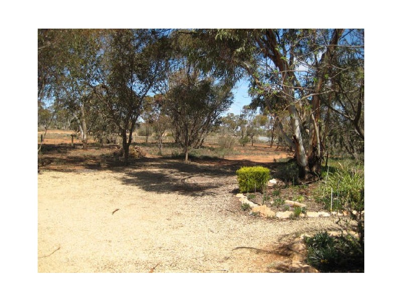 Lot 12 Section 65, Heinrick Road, Yinkanie SA 5332