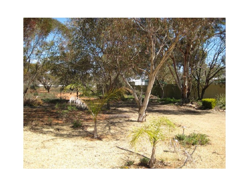 Lot 12 Section 65, Heinrick Road, Yinkanie SA 5332
