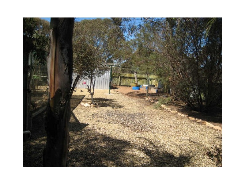 Lot 12 Section 65, Heinrick Road, Yinkanie SA 5332