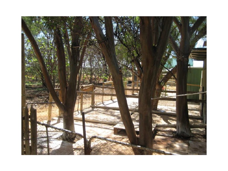 Lot 12 Section 65, Heinrick Road, Yinkanie SA 5332