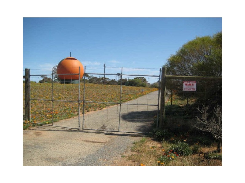 3 Old Sturt Highway, Berri SA 5343