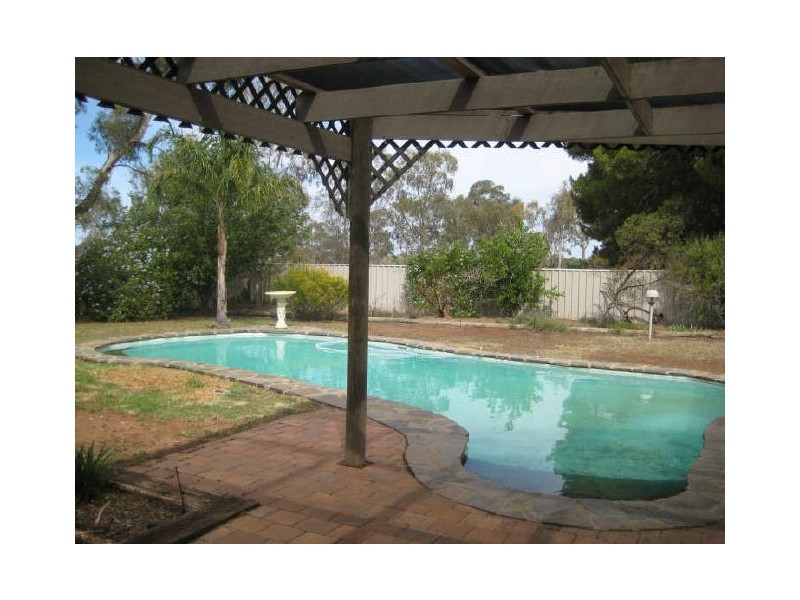 Section 169, Yeo Road, Loveday SA 5345