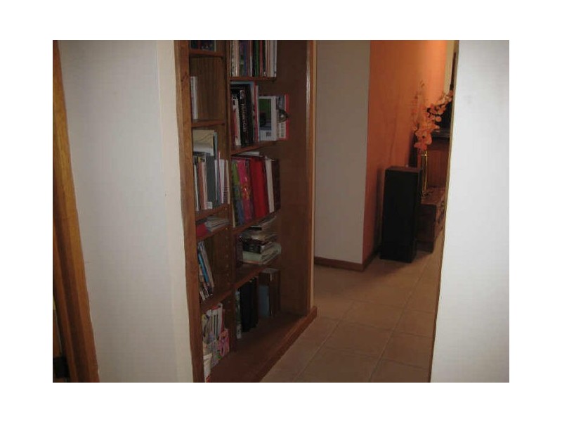 Section 169, Yeo Road, Loveday SA 5345