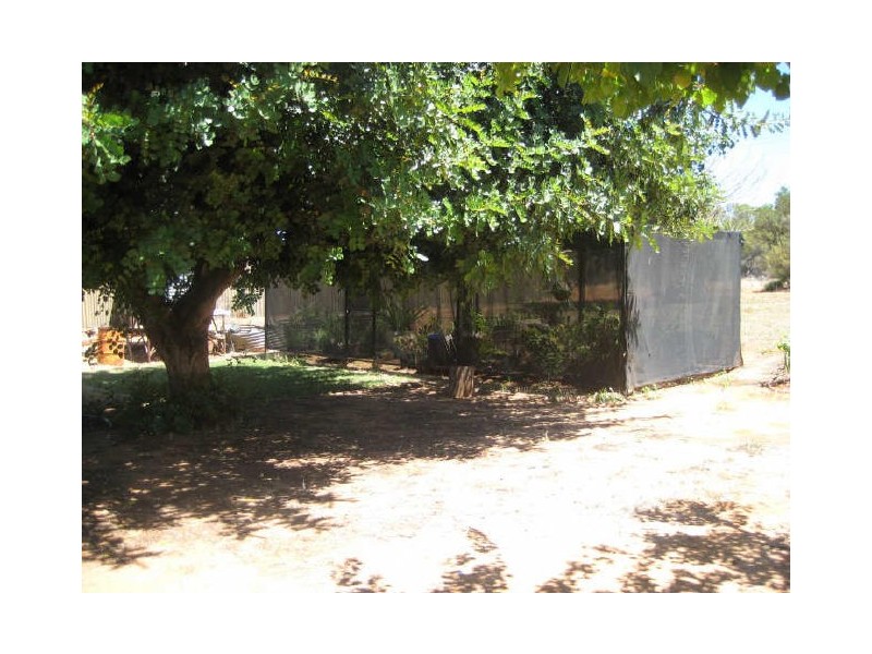 Section 1648, Scott Road, Berri SA 5343