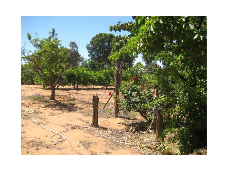 Section 1648, Scott Road, Berri SA 5343